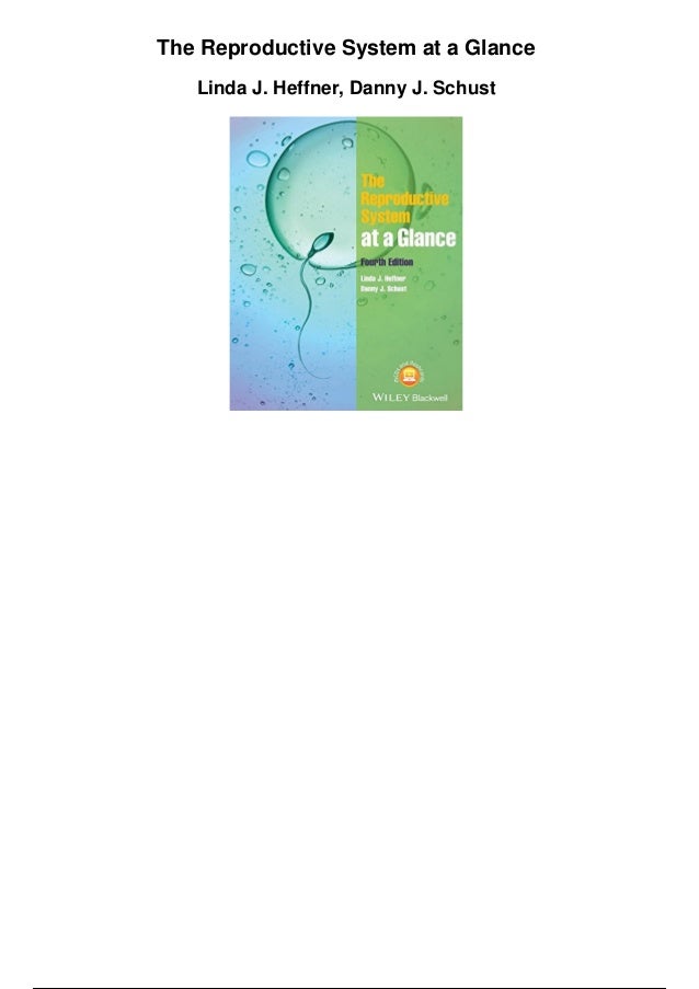 Download Product Flyer